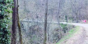 Lavori al ponte: da martedì chiude la provinciale per Olbicella