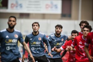 Pro Vercelli, Feralpi Palermo e Modena, primi acuti