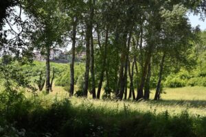 Enoteca e Cai, cinque percorsi raccontano la bellezza dell’Ovadese
