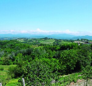 Enoteche, è pronto il protocollo d’intesa per strategie comuni