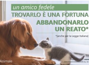 No all’abbandono di animali