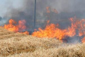 Maxi incendio, la task force dei Vigili del Fuoco