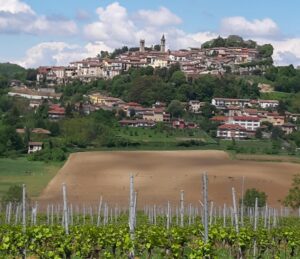 A Rosignano Milites Ruxignani, la nuova compagnia di rievocazione storica
