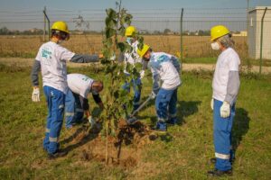 Citizen Day: 200 alberi da Solvay e Istituto Crea
