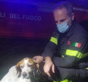 I Vigili del Fuoco in soccorso di un cane che si era perso