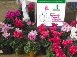 Asta d’arte benefica per la ricerca sulla fibrosi cistica