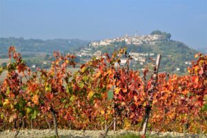 Rosignano: autunno stagione di mostre e spunti di visita