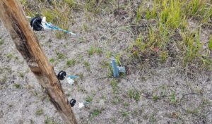Vandali alla riserva delle orchidee di Pecetto