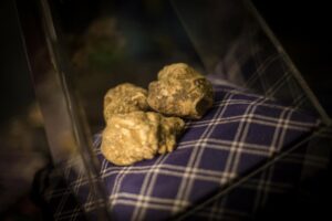 A Murisengo la 54esima edizione della Fiera del Tartufo: gli appuntamenti