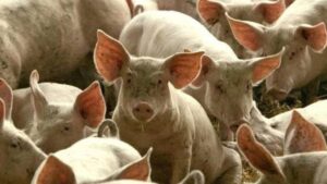 Il Tortonese chiede l’avvio dei tavoli di concertazione territoriale
