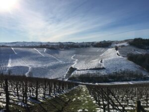 Paesaggi invernali in Monferrato