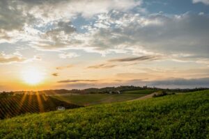 Monferrato: dieci cose da vedere