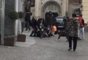 Casale: aizza i cani contro i carabinieri e li aggredisce. Arrestato