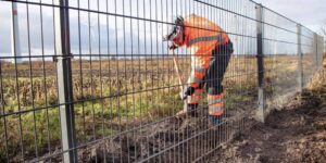 Rete anti peste suina, costa 8 milioni. «Ma non ci sono i soldi»