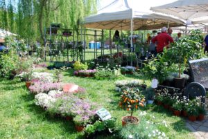 Ritorna FloreAle: appuntamento ai giardini pubblici