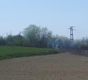 Ozzano: sterpaglie in fiamme in uscita dal paese