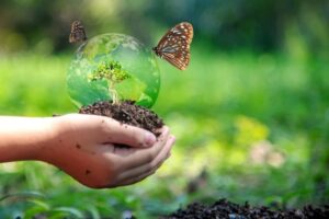 Il 22 maggio è la Giornata mondiale della biodiversità