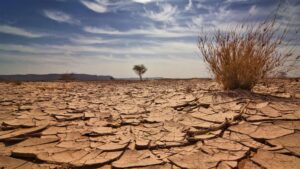 Il 17 giugno è la Giornata mondiale contro desertificazione e siccità