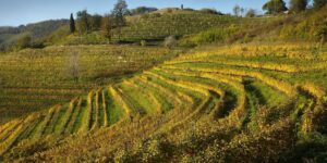L’importanza della rete nella promozione territoriale