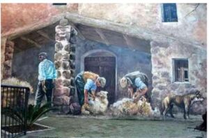 Il circolo sardo e il rito della tosatura