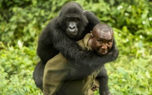 Il 31 luglio è la Giornata mondiale dei ranger