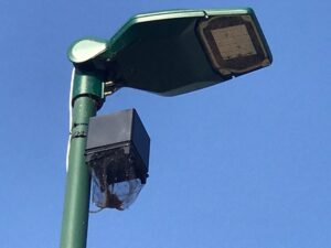 Lotta alle zanzare,  17 bugs trap all’argine Malpensata di Casale