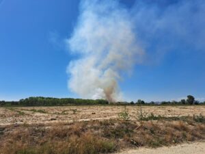 Campi e sterpaglie in fiamme a Frassineto Po e Cantalupo Ligure