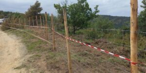 Peste suina, anche a Novi al via gli “espropri” per la barriera