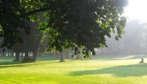 Acqui Green Park: domani l’apertura ufficiale dell’area verde