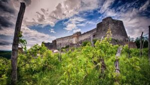 ‘Castelli Aperti’, cosa visitare la prima domenica di agosto