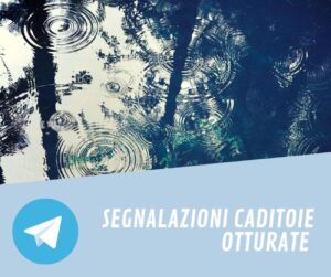 Caditoie otturate: gruppo Telegram per le segnalazioni