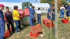 Per la vendemmia del ‘Luparia’ studenti in gita dal Veneziano