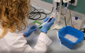 “Stiamo studiando come ostacolare la crescita dei tumori cutanei”