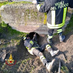 Villanova: cane nel canale di scolo, salvato dai Vigili del Fuoco