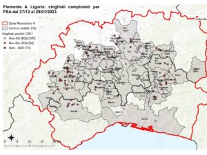 Peste suina, in provincia il numero dei casi continua a crescere