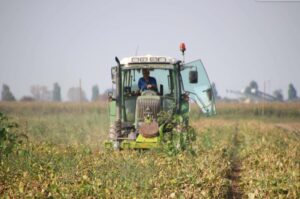 Servizio civile in agricoltura? Perché no….