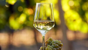 Coldiretti: “Export cibo italiano raddoppiato in 10 anni, vino al top”