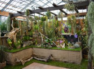 Sabato 1° aprile: a Piovera orchidee protagoniste