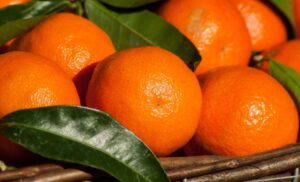 Violenza di genere: in corso Italia le clementine di Confagricoltura
