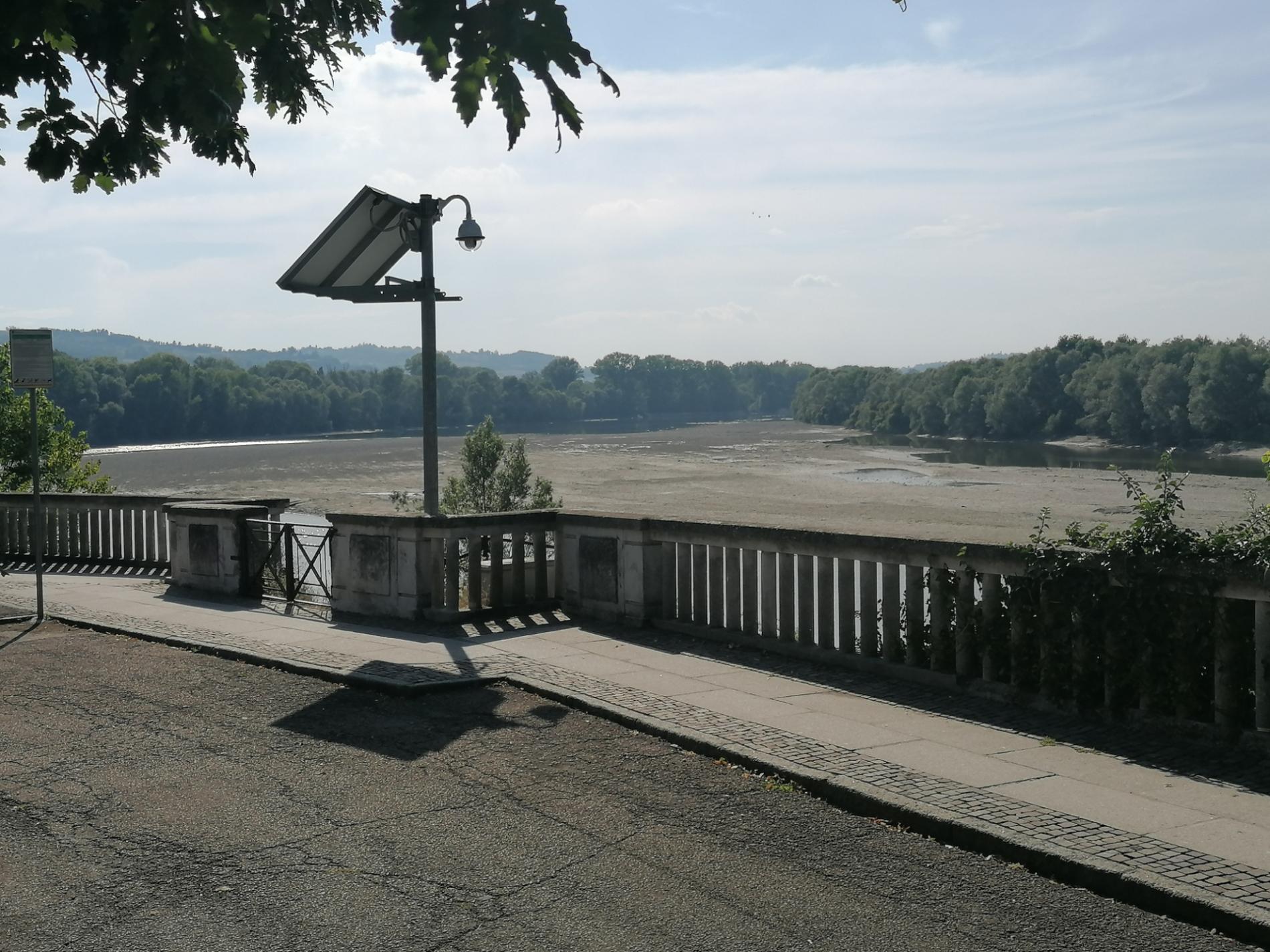 Le alghe nel Po a Casale sono lo stesso infestante comparso a Torino nel 2016?