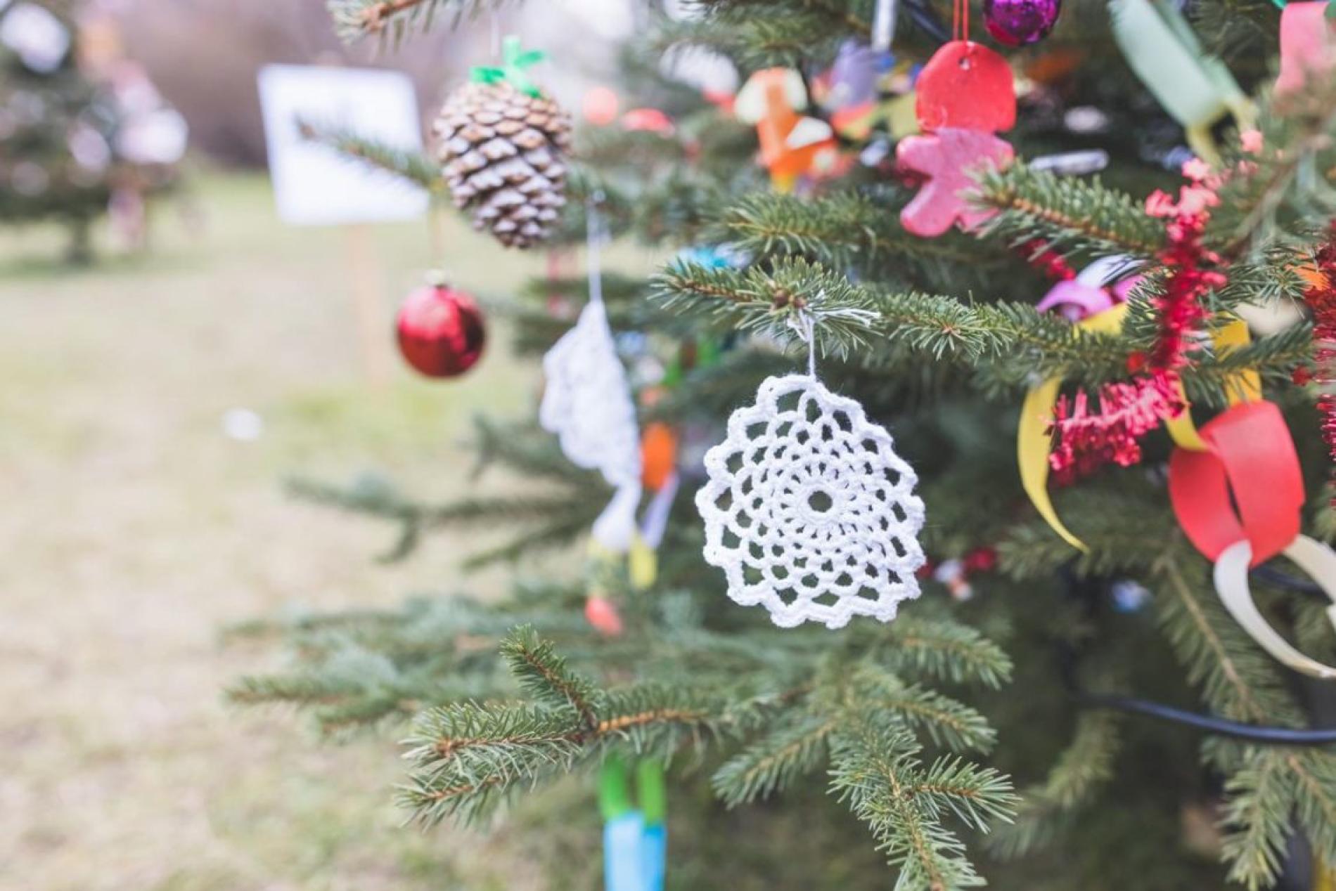 “La differenziata non si ferma a Natale. Insieme per il decoro”