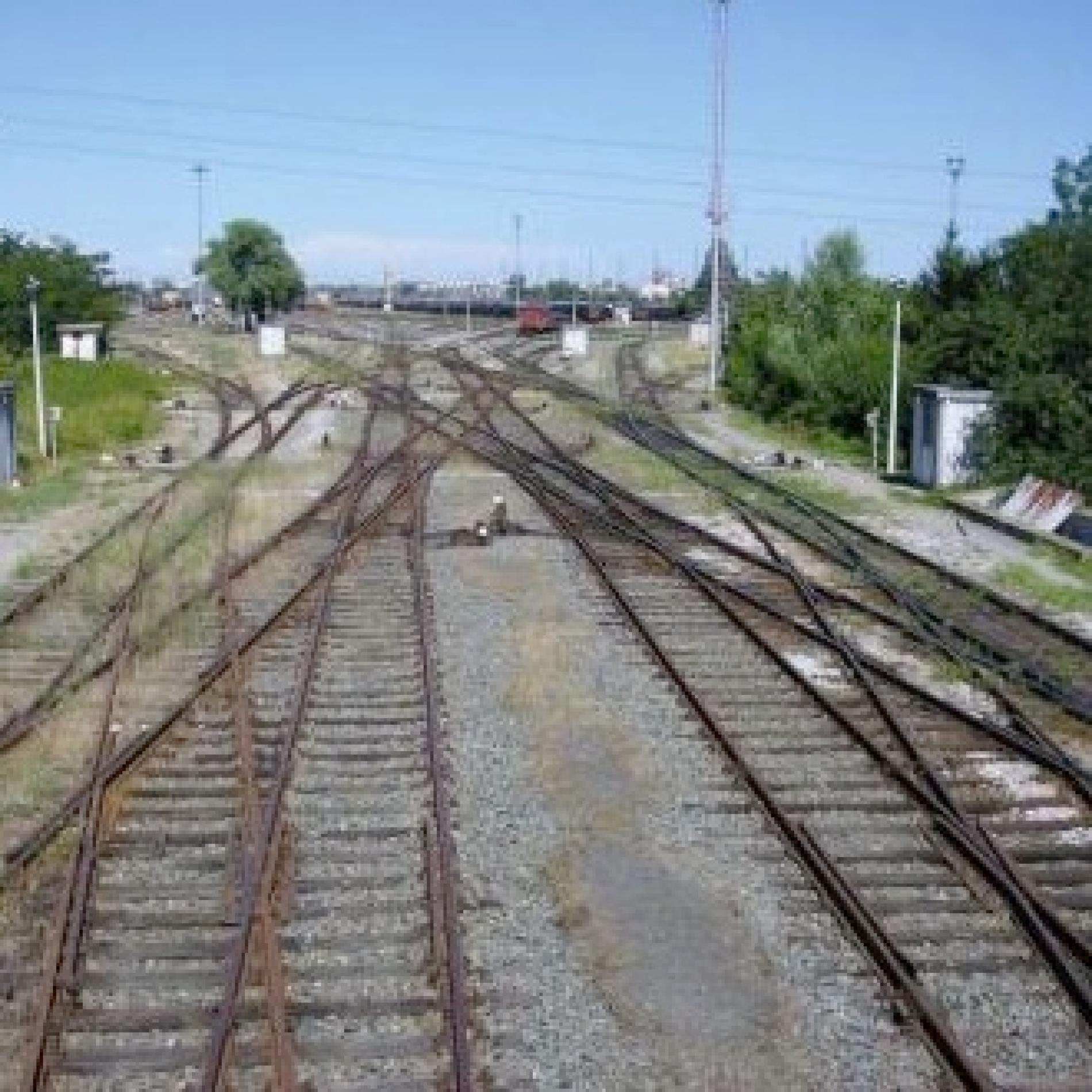 “Trasporto su gomma? Scelta illogica: puntiamo sui treni”