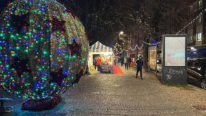 Solidal e l’importanza della ricerca oggi ai giardini