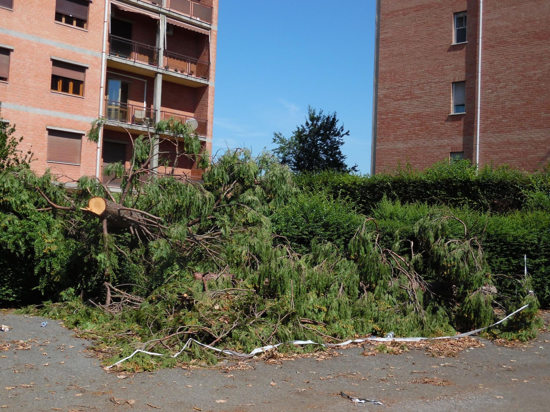 Alessandria, la sera in cui volarono i tetti