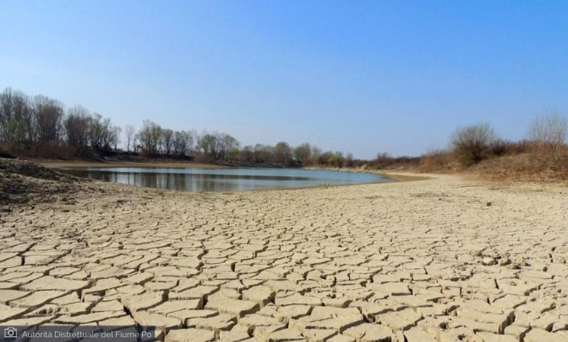 Siccità, aiuti alle imprese agricole