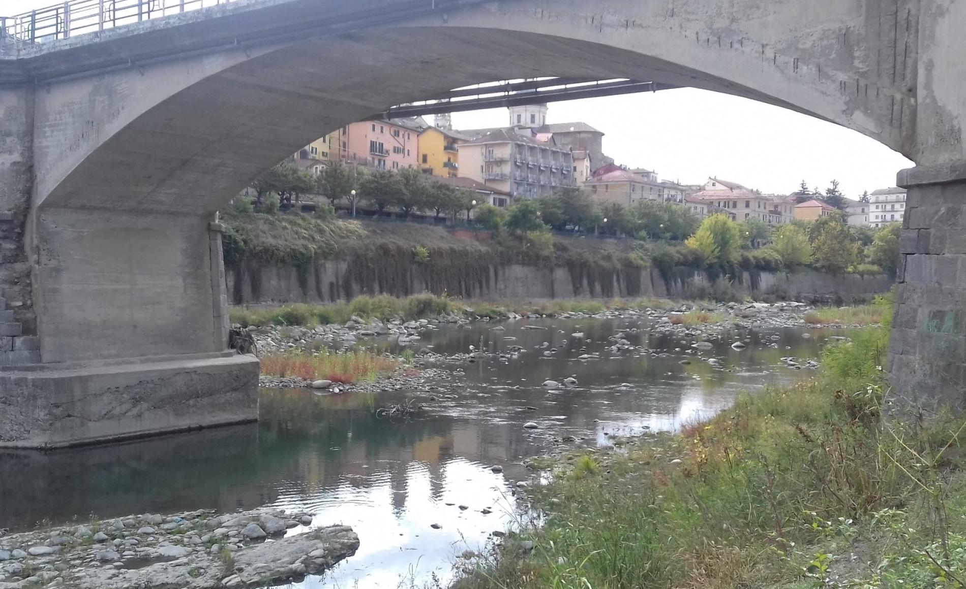 Ritrovato un altro lupo morto alle porte di Ovada