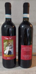 Per natale, torna il barbera del ‘Pescatore di Sogni’, il piccolo Diego