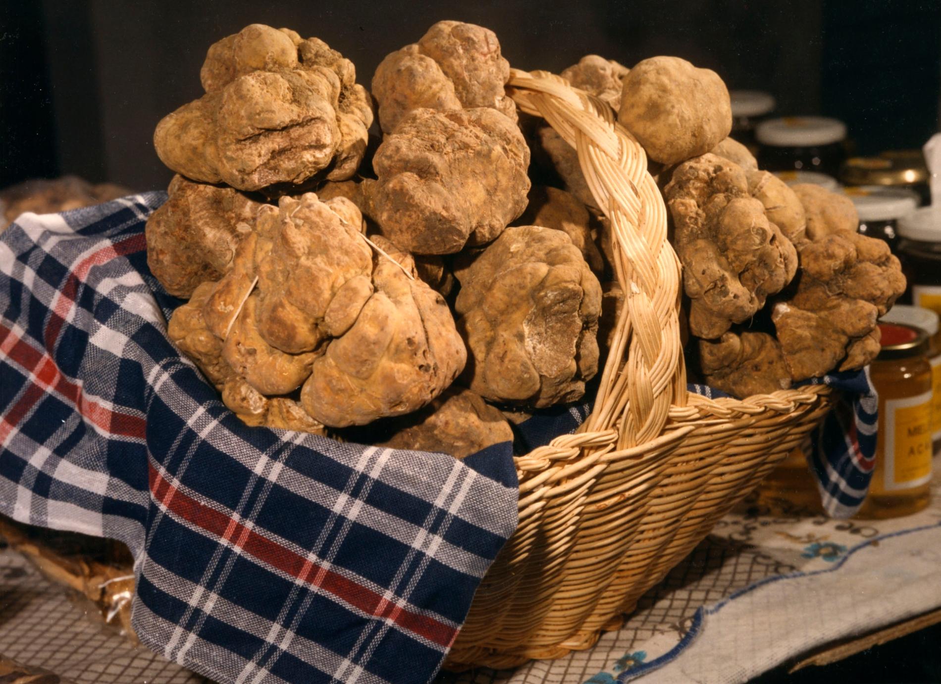 Vino e Tartufi, i produttori locali tra via San Paolo e via Cairoli