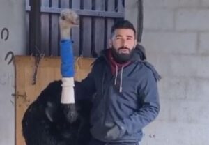Casale, lo struzzo Totò sta bene ed è tornato a casa