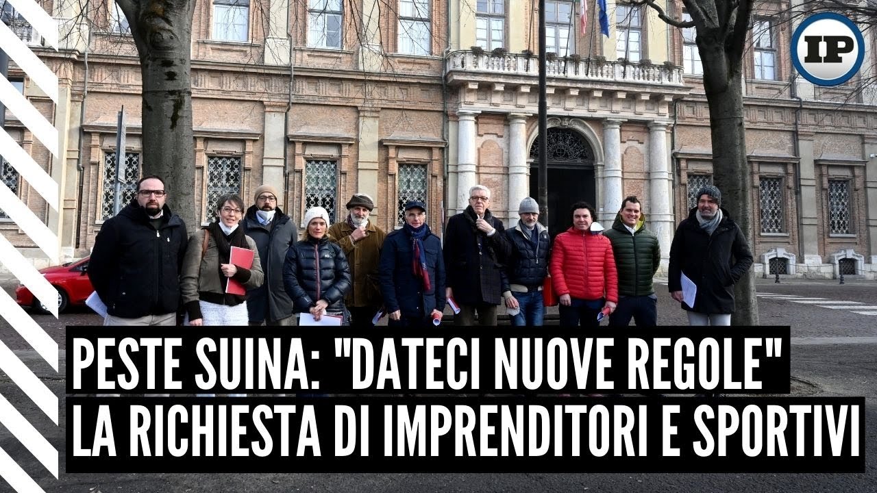 Peste suina, le proposte di Legambiente per superare l’emergenza